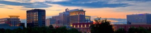 greenvilleskyline