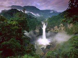 Amazon Jungle in Brazil