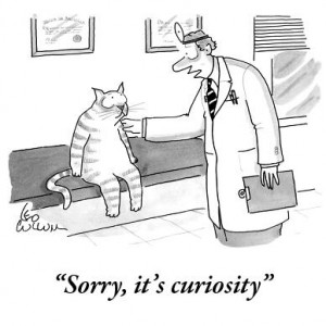 curiositycartoon