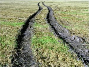rut-on-a-grassy-field
